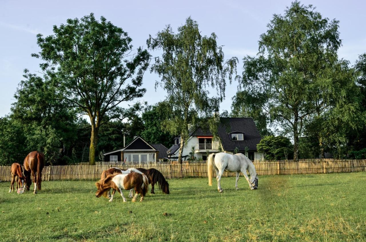 Bed & Breakfast De Zandhoef Eersel Exterior foto