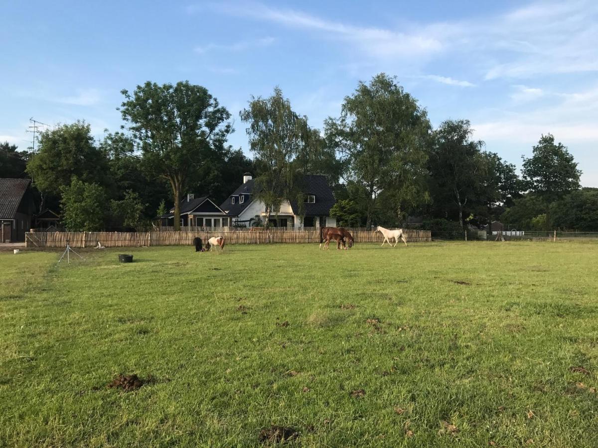 Bed & Breakfast De Zandhoef Eersel Exterior foto